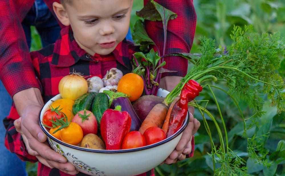 Micronutrientes y desarrollo infantil