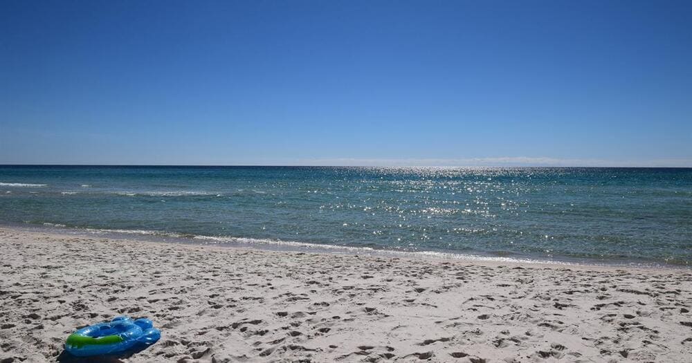 International Capital Flows to Ocean Reef