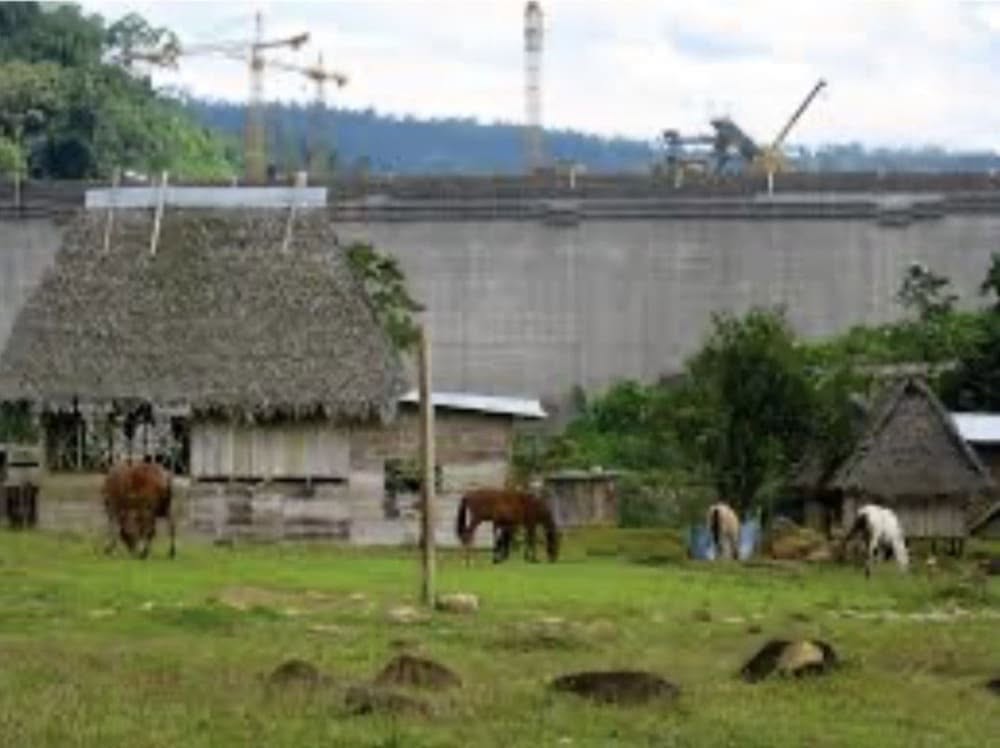 Loreto Ferrer Moreu and the technical analysis of the Ngöbe Buglé case before international bodies