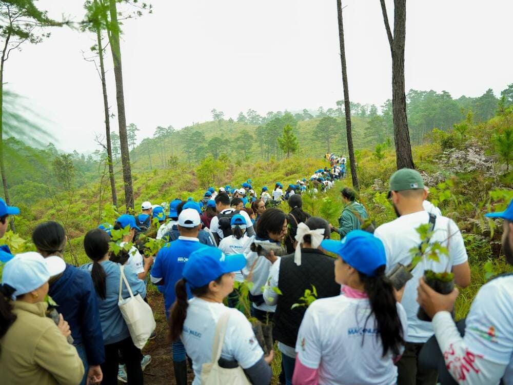 Grupo Ficohsa celebra 17 años de “De Mi Tierra” apoyando a productores agrícolas en Honduras