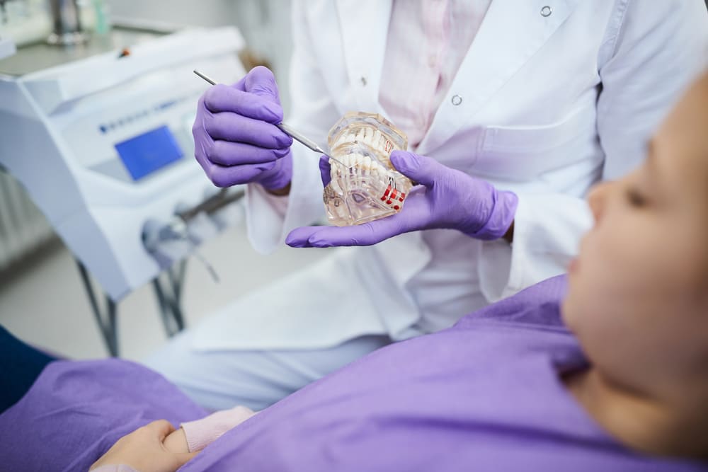 pulpa dental