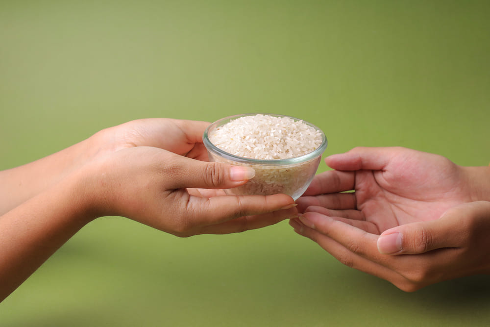 La importancia del magnesio, potasio y zinc en el arroz estadounidense
