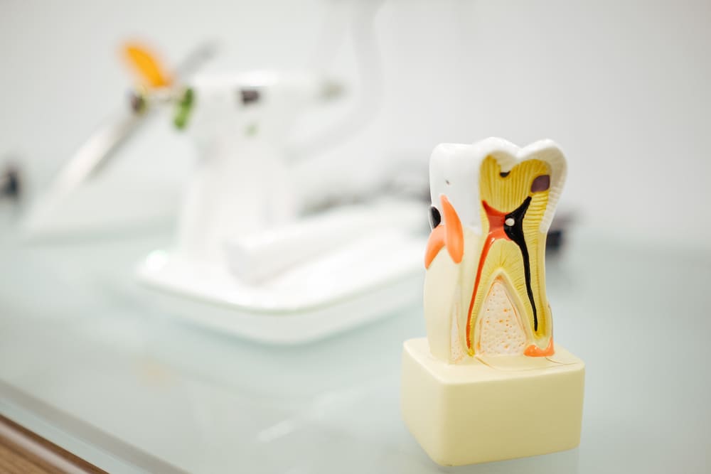 Evaluación periodontal en Panamá para mantener encías sanas